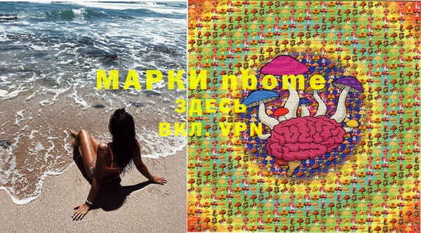 дурь Аркадак