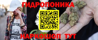 мяу мяу мука Шебекино