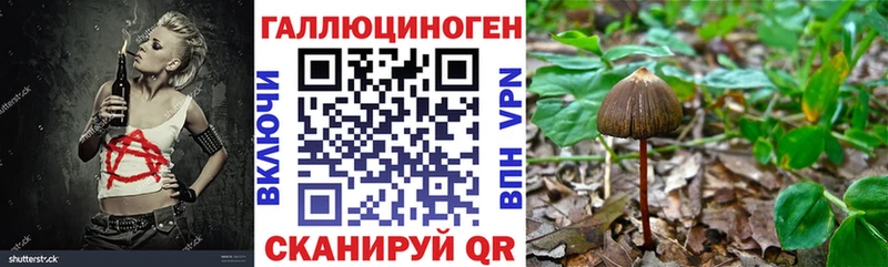 Псилоцибиновые грибы мицелий  Усть-Лабинск 